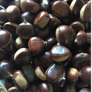 Organik Sertifikalı Kestane (500 gr)