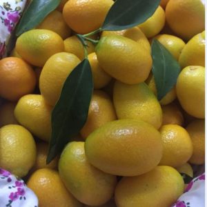 Organik Sertifikalı Kumkuat (300 gr)